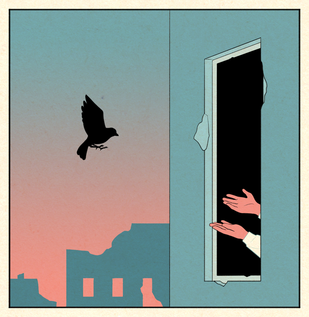 the bird flies to an open window where a person stretches out their hands