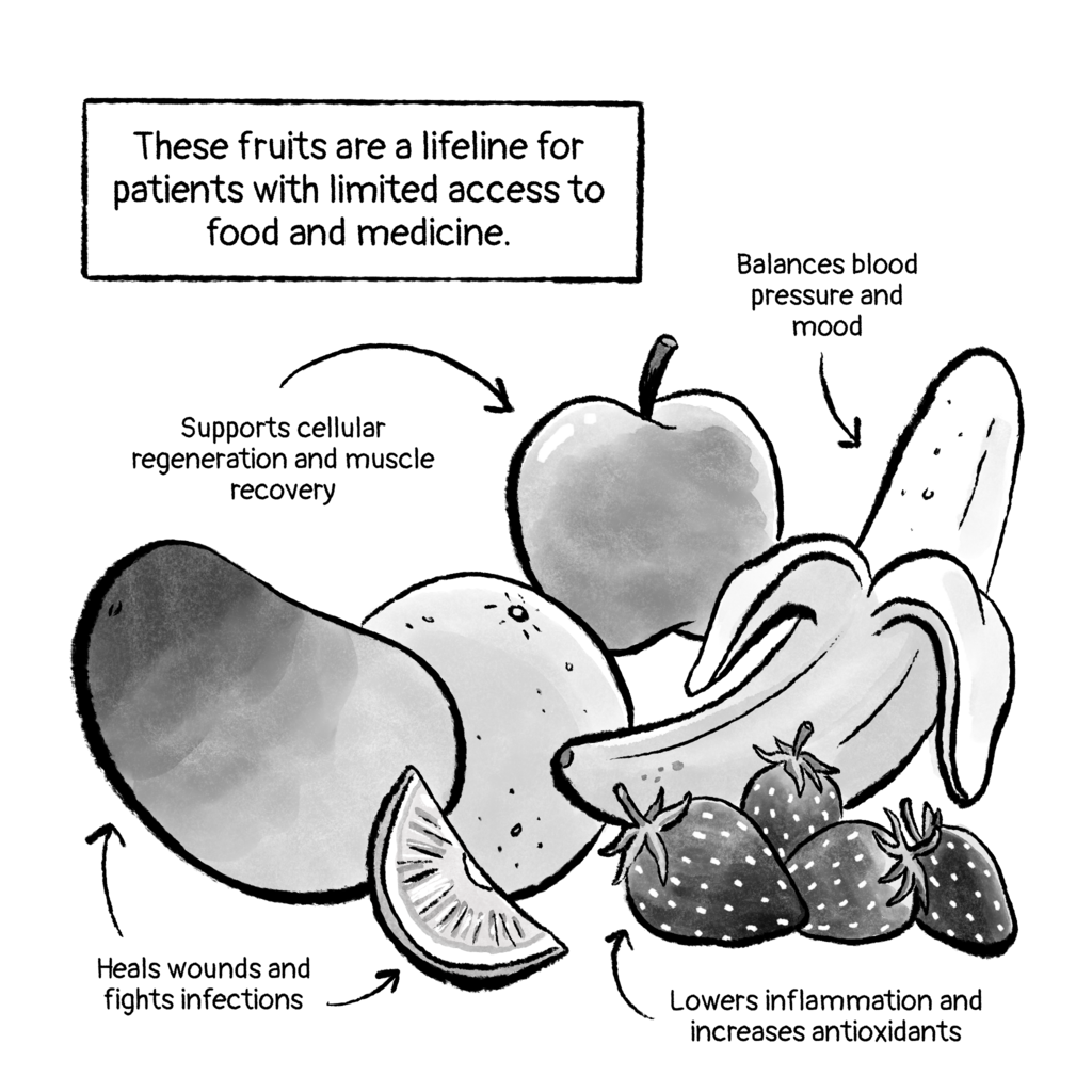 Fresh fruit for Gaza's recovering patients