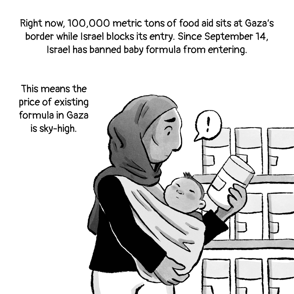 A mother's journey in Gaza