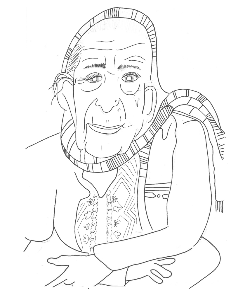 illustrations of palestinian protest meetings in quebec