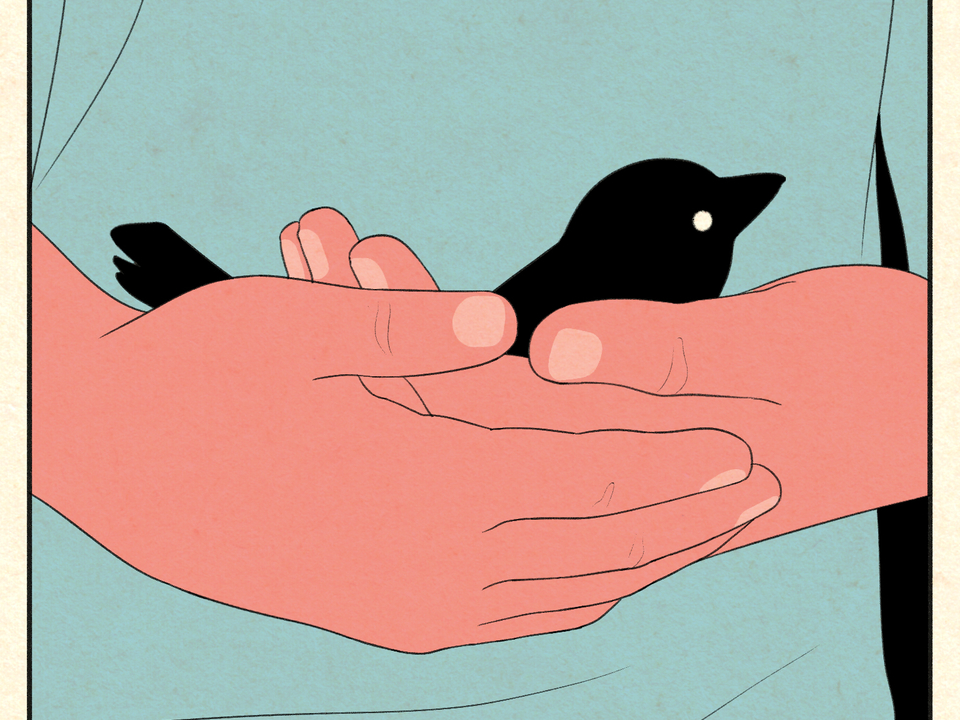 a comic panel shows a childs hands holding a bird
